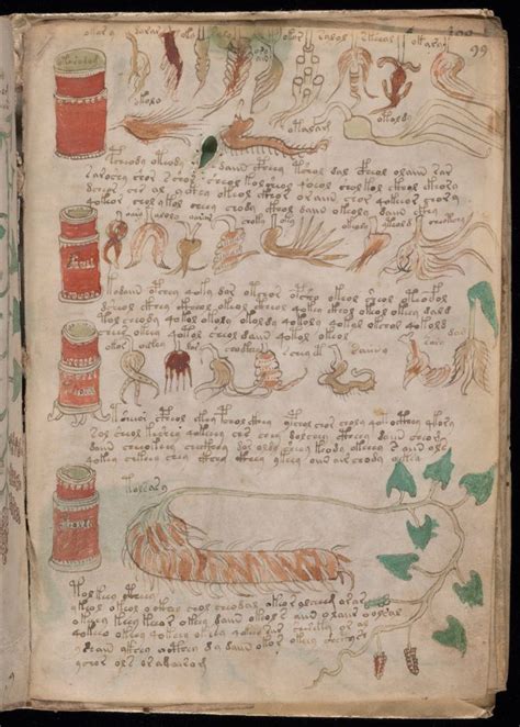 Mysterious Voynich Manuscript Decoded By British Academic Arts