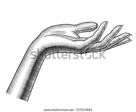 Womans Hand Stretching Palm Vintage Engraving Stock Vector Royalty