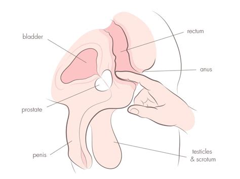 Sex Position For Male Anal Stimulation
