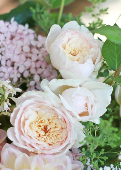 Vw Garden Emily Bronte Rose Arrangement