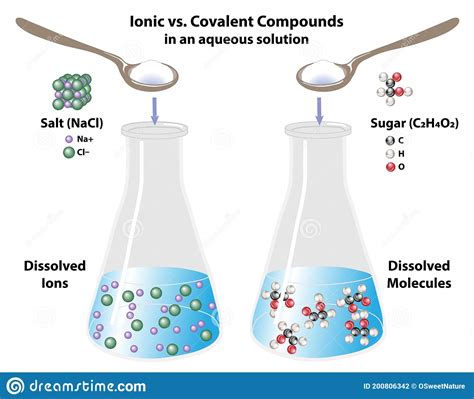 Ionic Versus Covalent Compounds In Solution Stock Vector Illustration