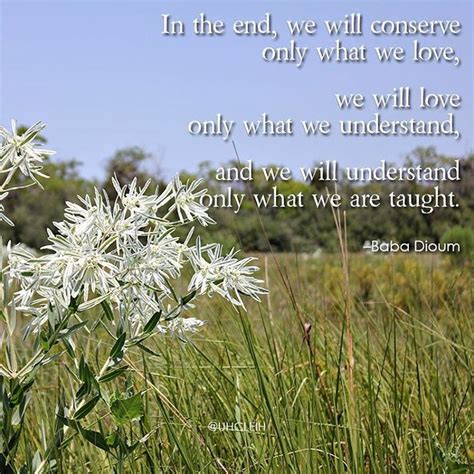 Baba Dioum Quote In The End We Will Only Conserve What We Love On