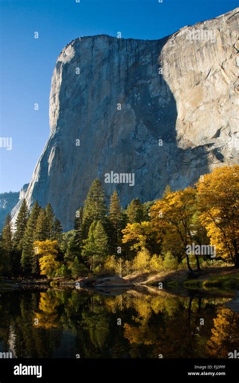 El Capitan And The Merced River Run Through Yosemite Valley In Autumn