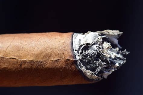 Ash Cigar Smoking Enjoy Tobacco Tobacco Leaves Little Little