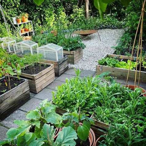 35 Creative Container Vegetable Garden Ideas A Piece Of Rainbow
