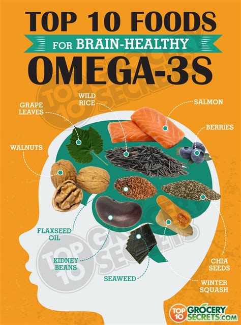 Omega 3 Fatty Acids Are Crucial To Proper Brain Nourishment Throughout