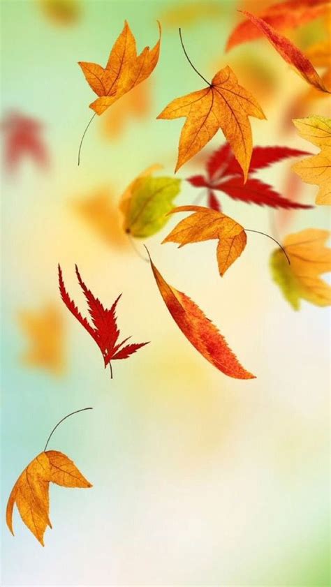 Iphone Wallpaper Autumn Fall Wallpaper Autumn Leaves Free Facebook