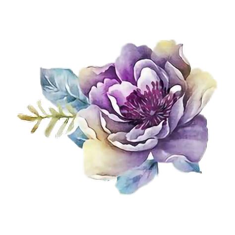 Watercolor Flower Png Transparent Images Png All Images