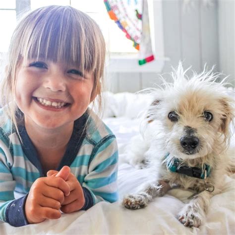 That sounds well enough, but pests are pests for a reason and they tend to always find a way. Are Rodent Treatments Pet-Friendly? - Non-Toxic Rodent Control