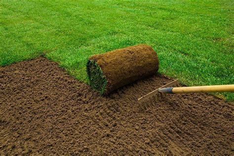 Fill the lawn roller halfway with water and. How to Lay Sod over Existing Lawn (Quick Guide 2020 Update)