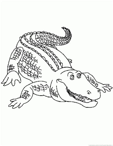 Alligator Coloring Pages