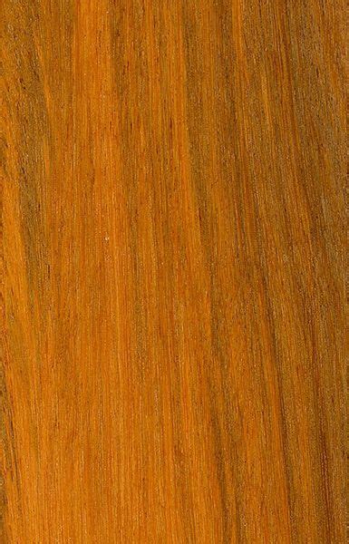 Brazilwood Woodworking Orange Wood Woodworking Tips