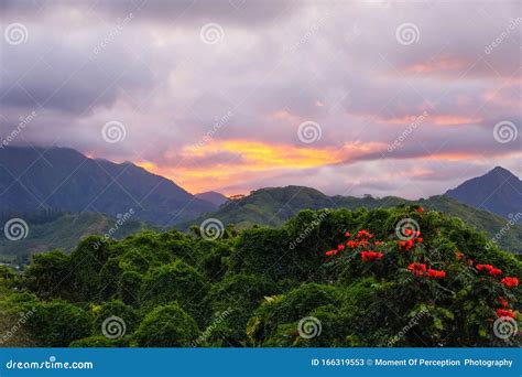Sunset Over The Koolau Mountains Stock Image Image Of Forest