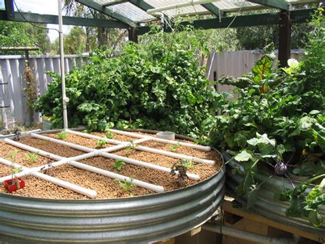 Here at backyard aquaponics we've installed over 150 aquaponic systems for people over the past 5 years. Aquaponic Backyard : Top 5 Reasons To Construct An ...