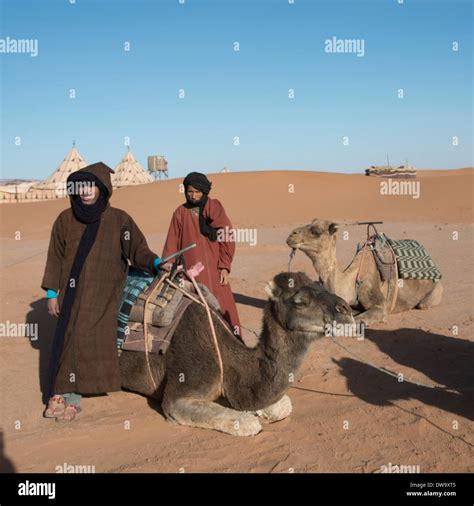 Two Tuareg Men Standing In A Desert With Their Camels Erg Chigaga