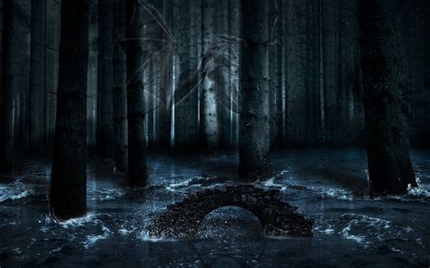 Dark Forest Anime Wallpapers Wallpaper Cave