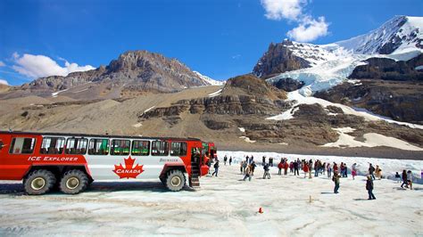 Columbia Icefield In Jasper National Park South Entrance Expedia