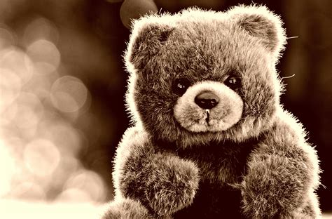 Teddy Bear Toy Glare Wallpaper Hd Other 4k Wallpapers Images And