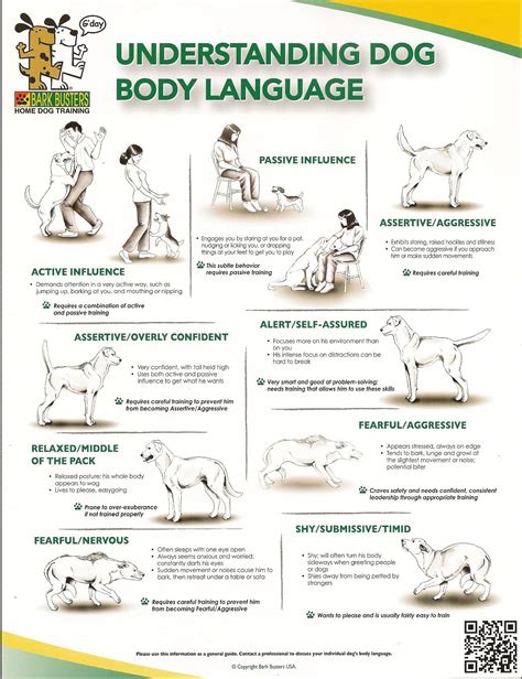 Better Understand A Dogs Body Language Bark Busters Speaking Dog