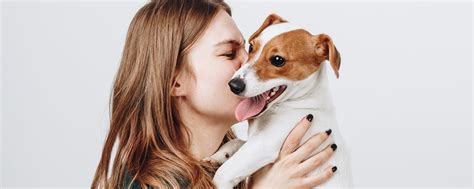 Rüde hündin pubertät zuchtreife zyklus läufigkeit kastration.als hundehalter erkennen sie die geschlechtsreife ihrer hündin daran, dass sie zum ersten mal läufig wird. Hat mein Hund Untergewicht? - Hundemagazin