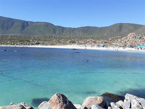 Totoralillo (Coquimbo) - All You Need to Know BEFORE You ...