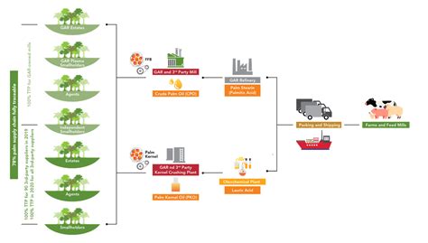 Sustainable Palm Oil In Gonutri Animal Feed Is A Nutritious Energy Source