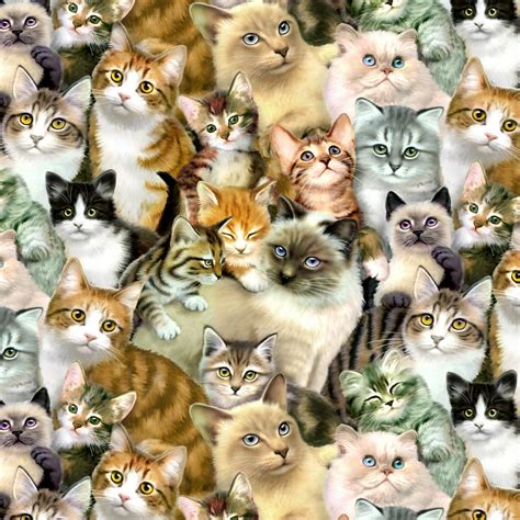 Plethora Of Cats And Kittens Pattern Premium Roll T Wrap Wrapping