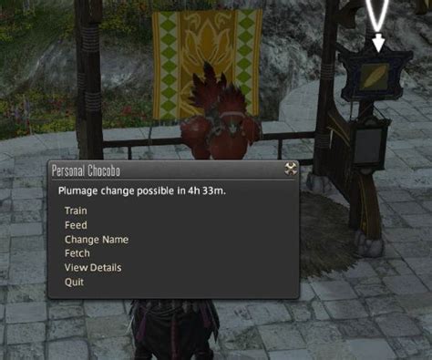 Ffxiv Chocobo Colour Changing Guide Late To The Party Finder