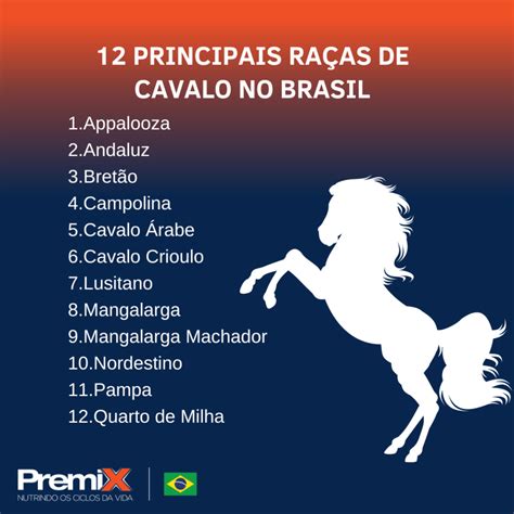 Aprender Sobre Imagem Foto De Cavalo Br Thptnganamst Edu Vn