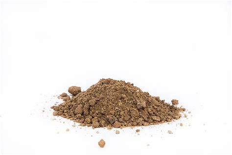 Best Dirt Pile Stock Photos Pictures And Royalty Free Images Istock