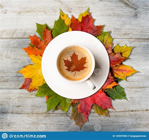 Autumn Coffee And Leaves Stock Photo Image Of Autumn