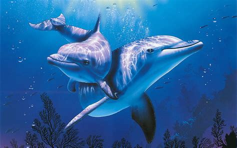 Hd Wallpaper Dolphins Ocean Sea Underwater Wallpaper Flare