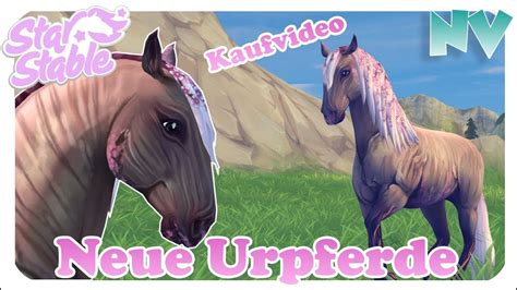 Sso for bi launchpad reference note: Star Stable SSO: Das Kirschblüten Pferd | PFERDEKAUF ...
