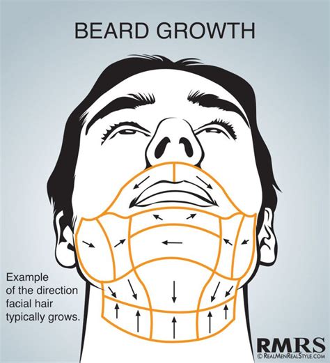 Shave Maps Infographic Which Direction Do You Shave Your Face