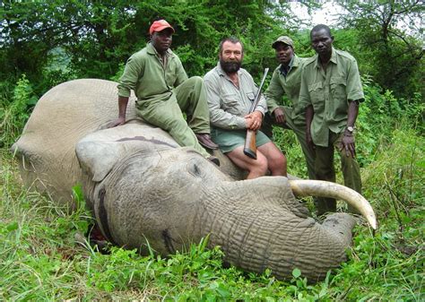 Trophy Hunting End Of The Game Journal Of African Elephants