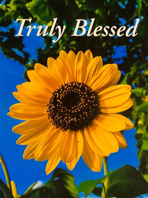 Truly Blessed Sunflower 8x10 Print Etsy