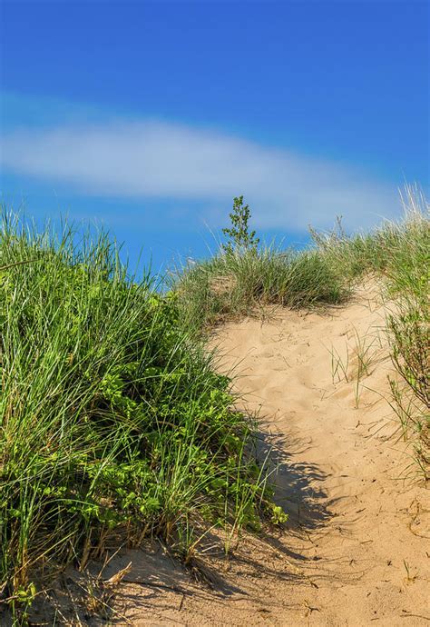 Summer Sand Dune Trail Photograph By Dan Sproul