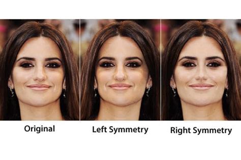 Face Symmetry Of Celebrities Youbeauty