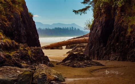 Beach Near Tofino Vancouver Island Canada © Cavan Imagesoffset Bing Wallpapers Sonu Rai
