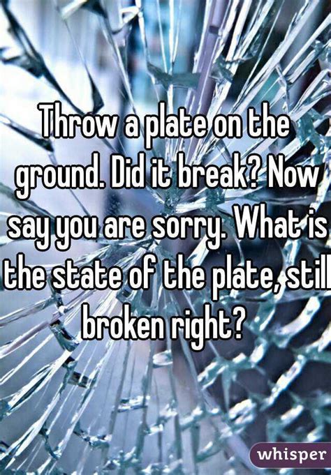 Throw A Plate On The Ground Did It Break Now Say You Are Sorry What