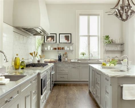 White and gray painted cabinets, countertop and backsplash choices and update ideas decorating a white or gray kitchen with black appliances. Light Grey Kitchen Cabinet | Houzz