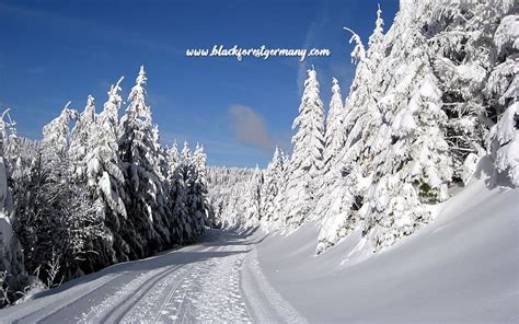 What To Do In Winter In The Black Forest