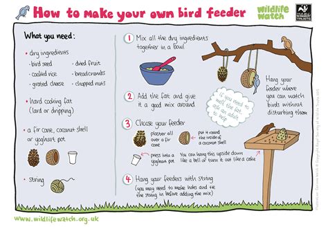 They will not only fill the environment with sweet songs, but also control the insect population around your house. Wildlife Watch - Activity Sheets