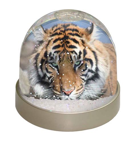 Bengal Tiger Snow Dome Photo Globe Waterball Animal T 12196