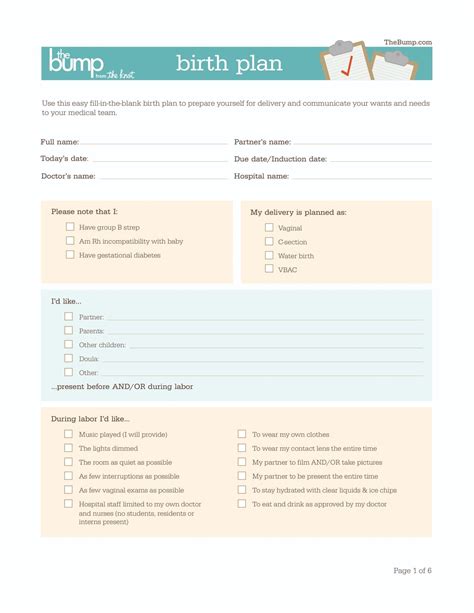 Birth Plan Examples 50 Free Sample Redlinesp