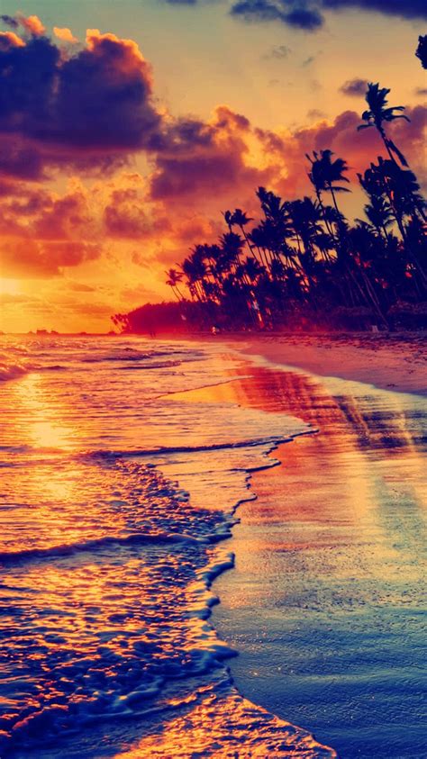 Golden Beach Sunset Tropical Iphone 6 Wallpaper Hd Free