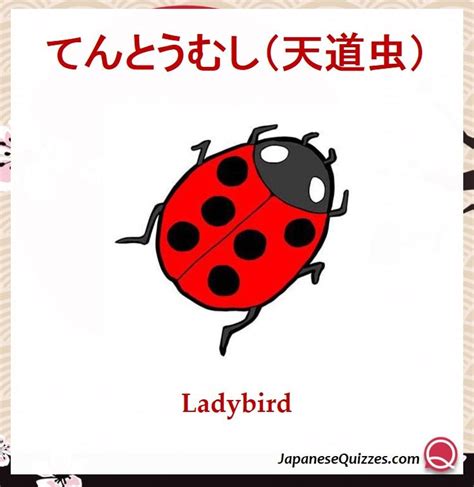 #animal #japanese #learnjapanese #studyjapanese #japanesevocabulary