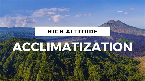 Understanding High Altitude Acclimatization And Acute Mountain