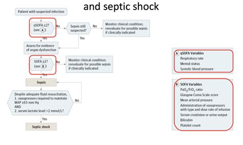 Pathophysiology And Treatment Of Sepsis Diagram Quizlet