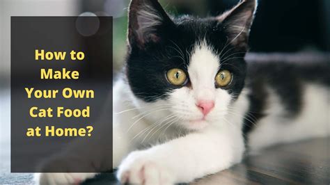 How To Make Your Own Cat Food At Home Foody Paws